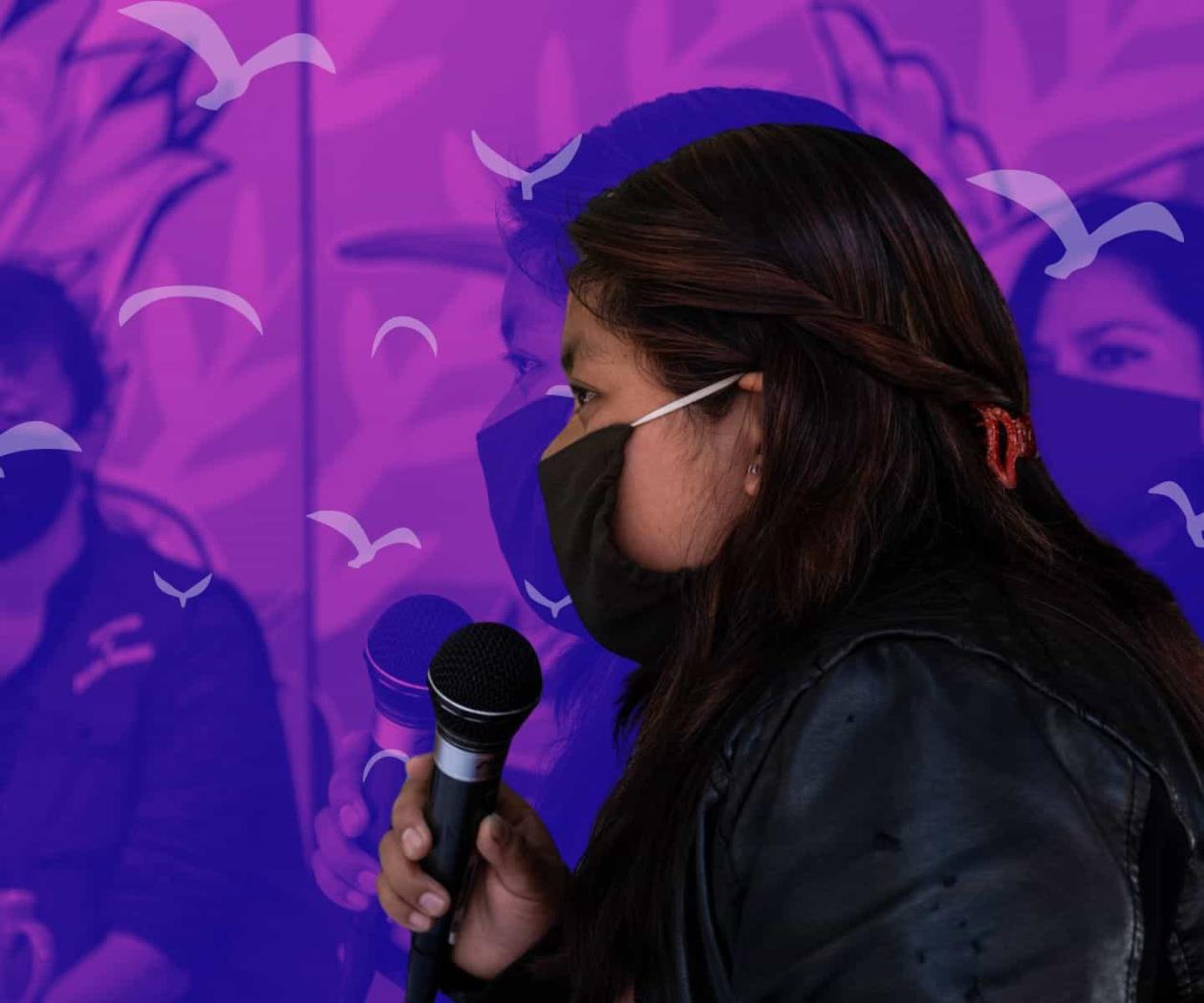 En un mes fueron agredidas dos mujeres defensoras de la Red TDT En un mes fueron agredidas dos mujeres defensoras de la Red TDT