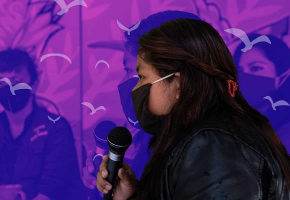 En un mes fueron agredidas dos mujeres defensoras de la Red TDT