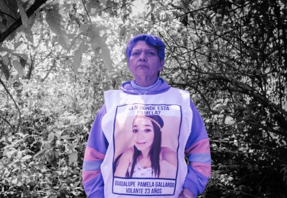 Hasta encontrar a Pamela Gallardo: 6 años después, ¿qué pasó con su caso?
