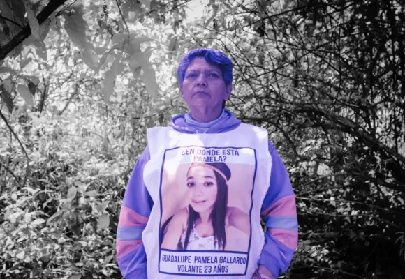 Hasta encontrar a Pamela Gallardo: 6 años después, ¿qué pasó con su caso?