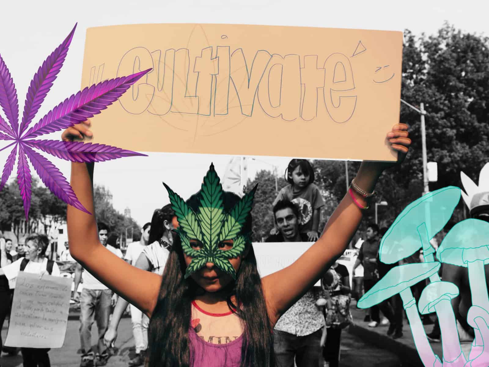 Participa en la primera investigación sobre mujeres y psicoactivos