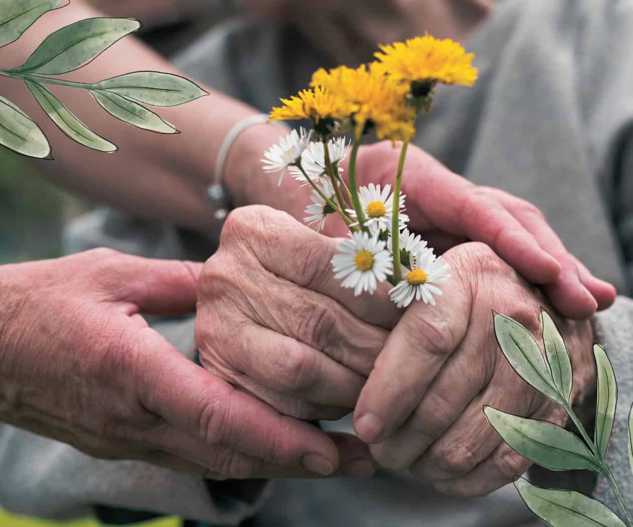 Paradojas emocionales en los cuidados