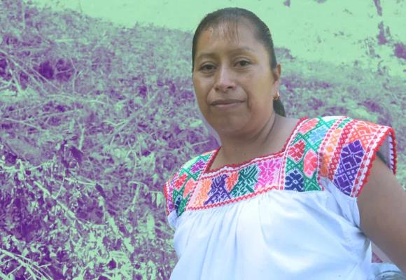 "Mujeres Trabajando por Nuestra Tierra" impulsan reforestación en Puebla