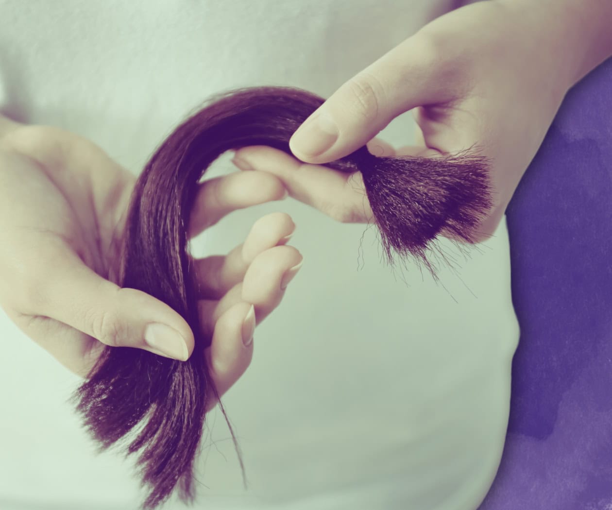 Únete a la causa y dona tu cabello para pacientes con cáncer de mama Únete a la causa y dona tu cabello para pacientes con cáncer de mama