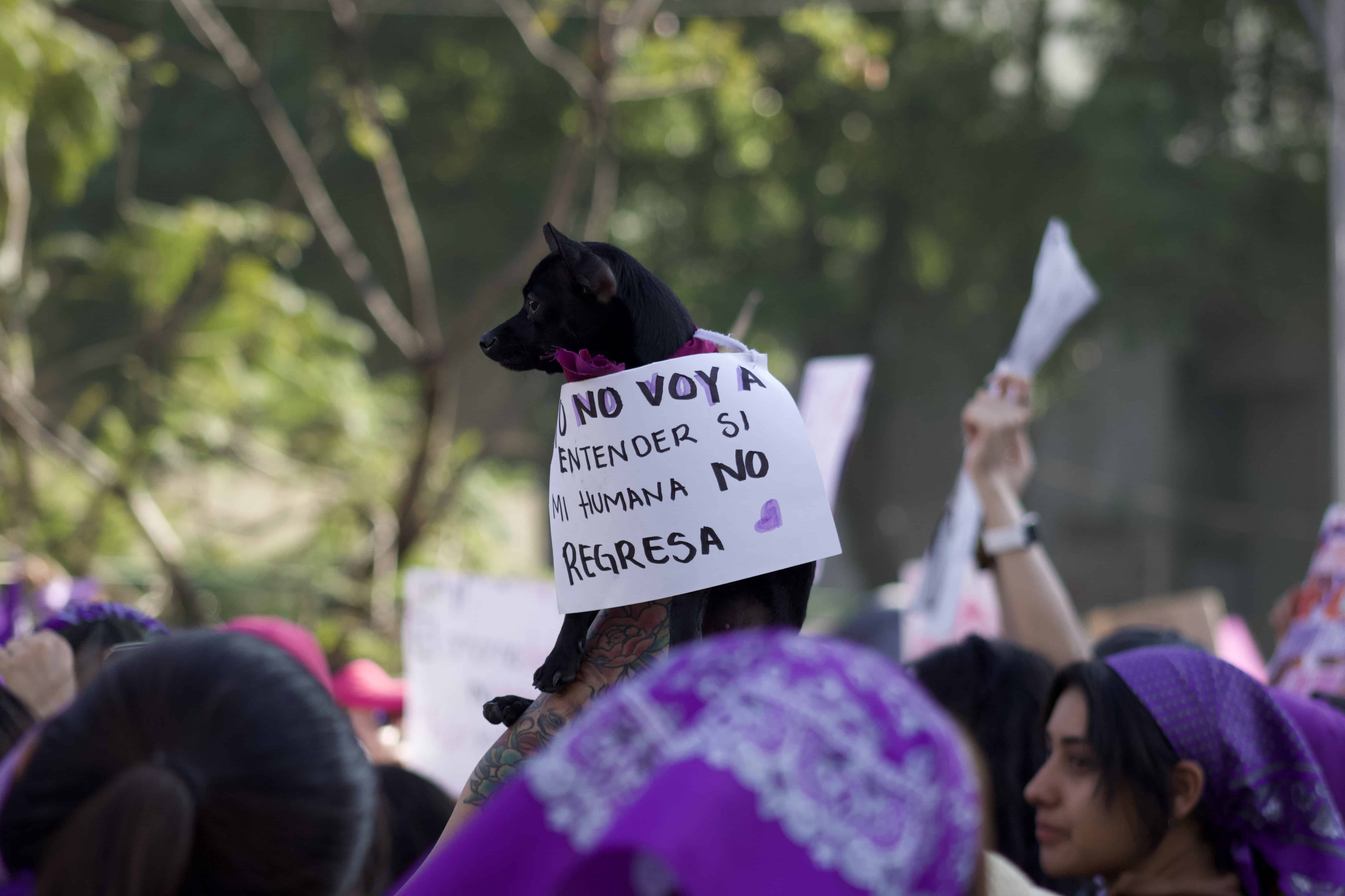 Kilómetros de lucha: el recorrido por las marchas feministas en 2024