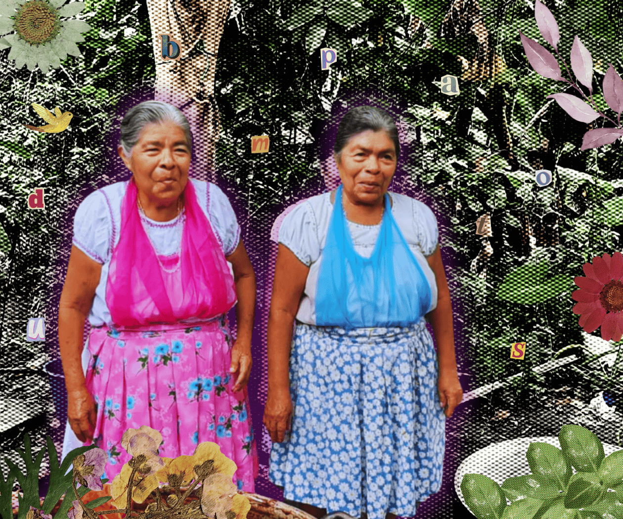 Entre el olvido y la resistencia: el valor de las lenguas originarias