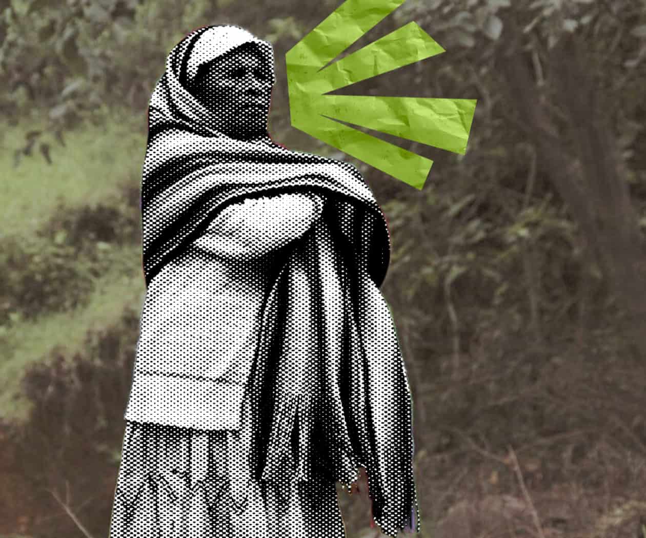 Susurros en ayuuk: cuando la lengua se convierte en eco