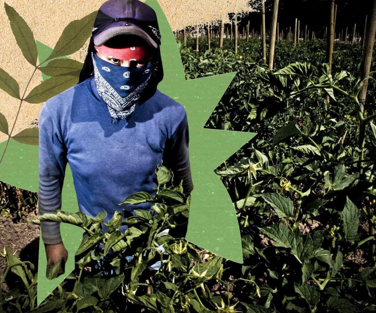 Día de la Tierra: datos que revelan la desigualdad ambiental en México