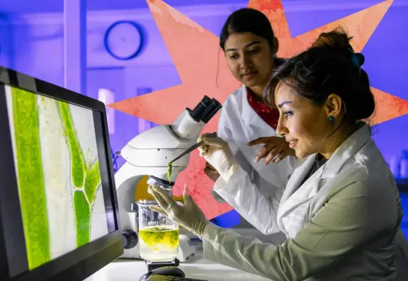 Brecha digital: el TICómetro revela los retos para mujeres en STEM