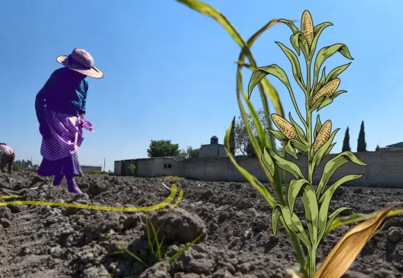 Voces y saberes comunitarios que defienden la justicia climática (II) Voces y saberes comunitarios que defienden la justicia climática (II)