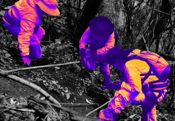 "El Estado no busca": colectivos reclaman peritos independientes a la CNB