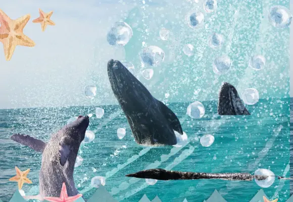 ¿Y si las ballenas fueran sujetas de derecho? Un amparo histórico en México