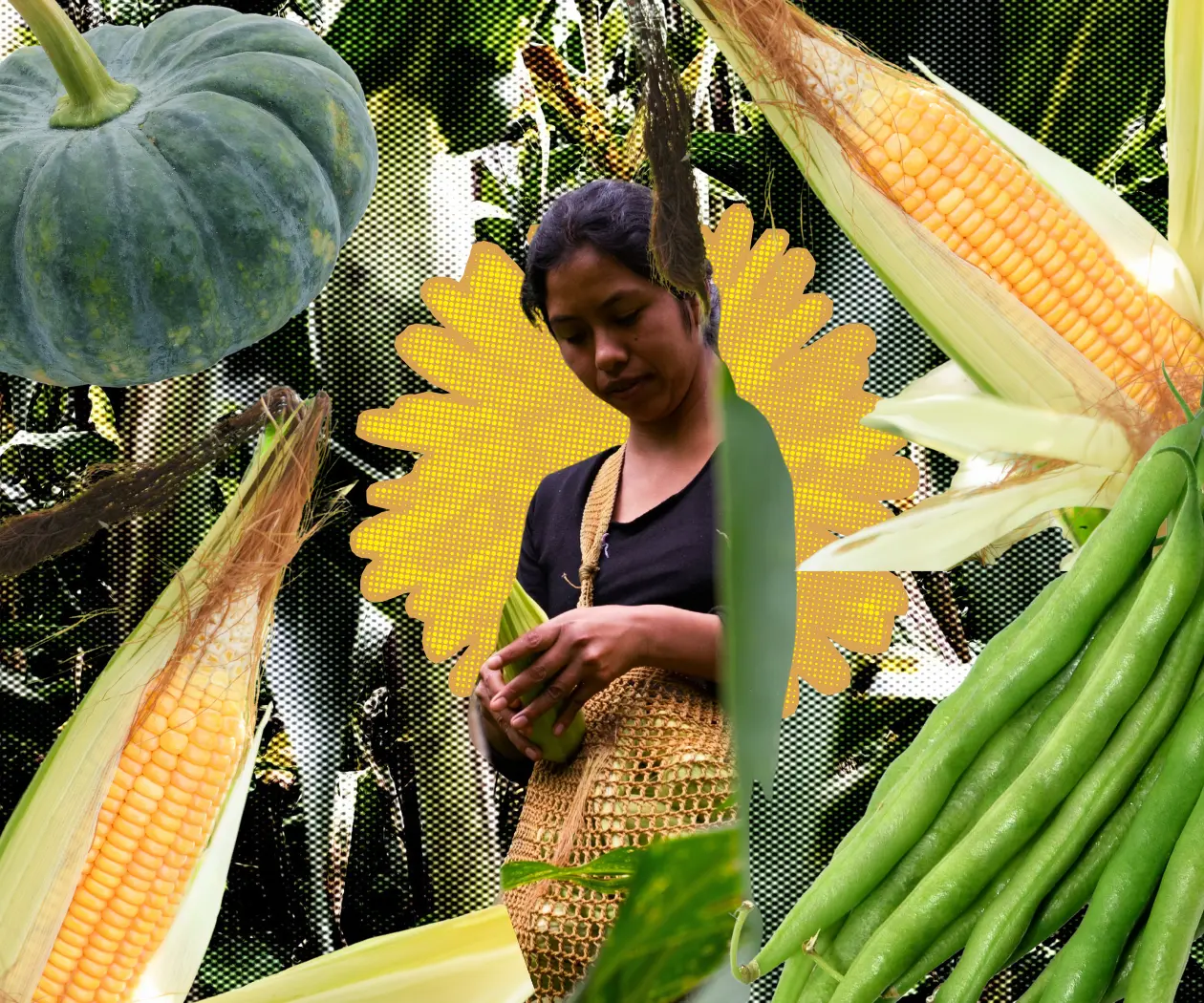 La milpa: el acto de resistencia que sembraron los pueblos originarios