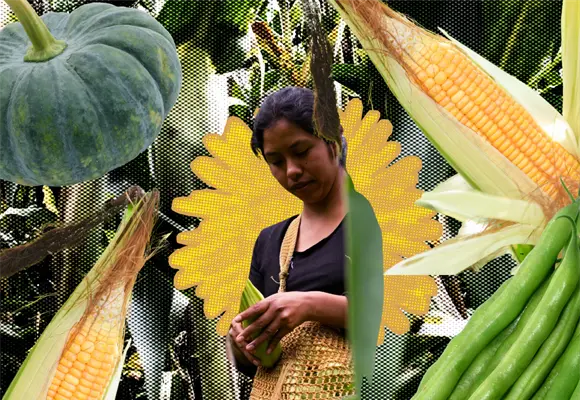 La milpa: el acto de resistencia que sembraron los pueblos originarios