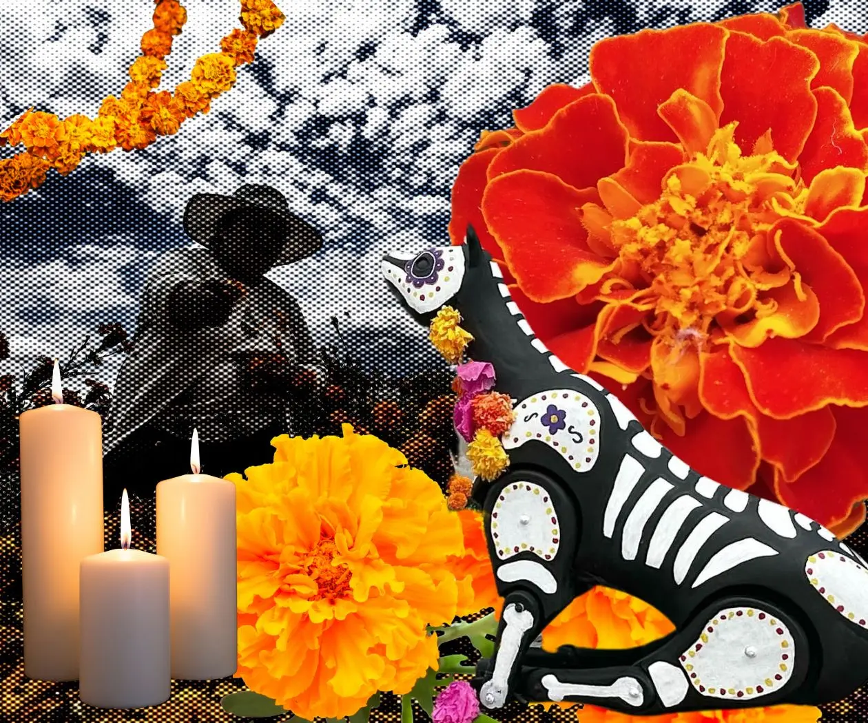 Los animales también regresan: el vínculo que el Día de Muertos honra