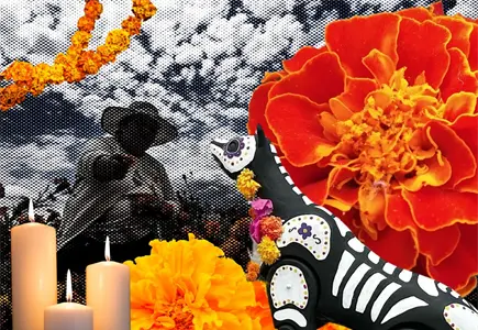 Los animales también regresan: el vínculo que el Día de Muertos honra