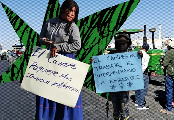 Sin maíz justo no hay país: lo que exige hoy el campo mexicano