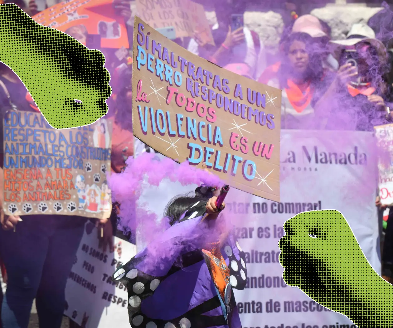 Marcha antiespecista exige fin de la violencia contra los animales en CDMX