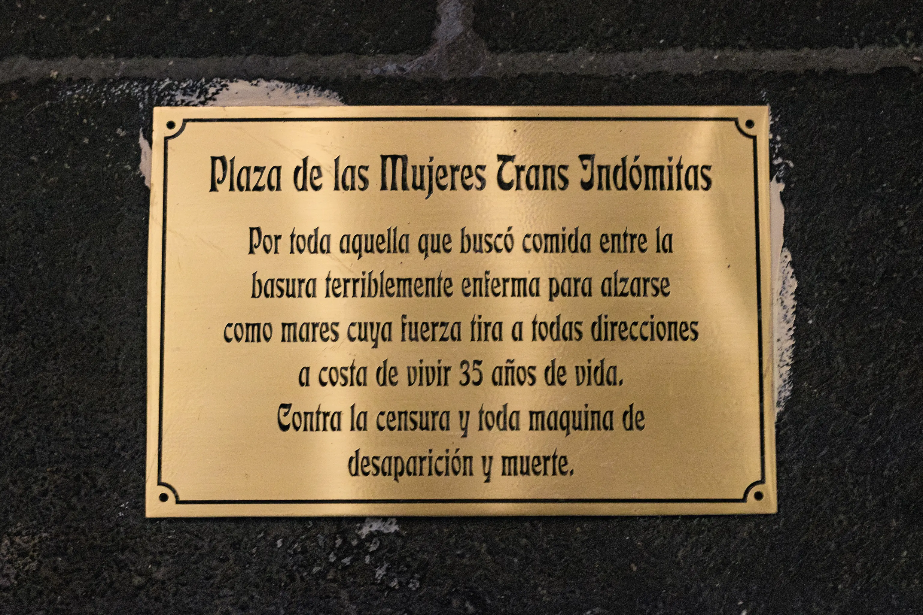 Foto: Omar Veoz Foto: Omar Veoz