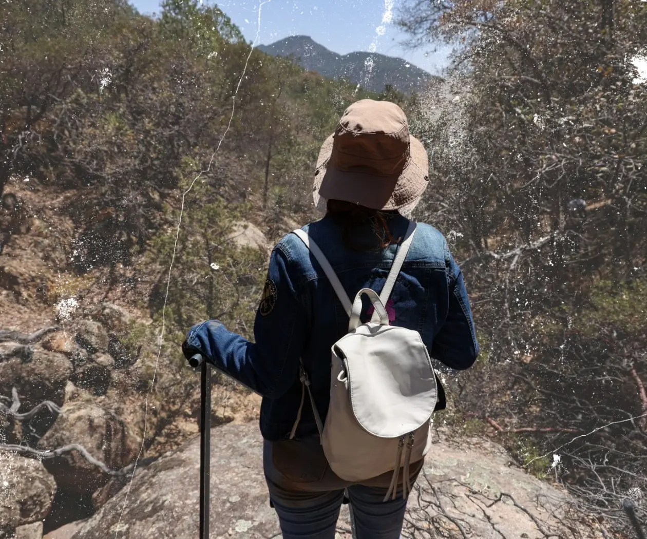 Primer año de Sheinbaum: 211 agresiones contra defensoras en México Primer año de Sheinbaum: 211 agresiones contra defensoras en México