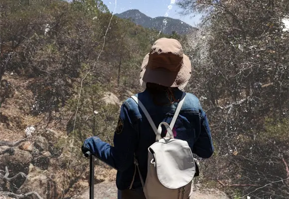 Primer año de Sheinbaum: 211 agresiones contra defensoras en México
