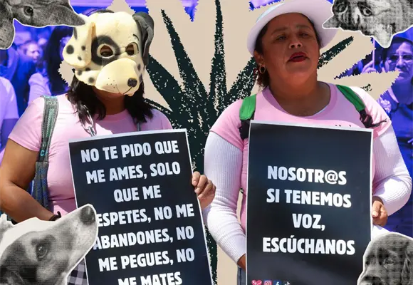 Zoocidio: la violencia estructural que el patriarcado sigue normalizando