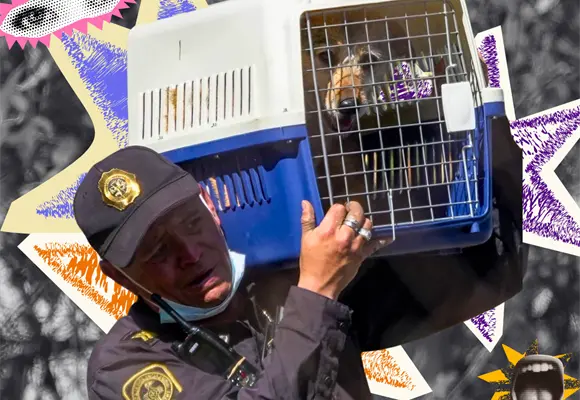 &iquest;Rescate animal o despojo? La historia detr&aacute;s del Refugio Franciscano