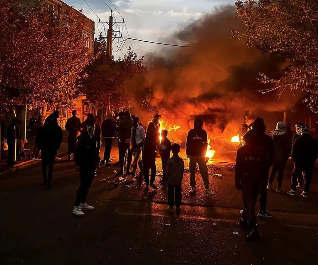 Coetesía: Shekoufeh Mohammadi Coetesía: Shekoufeh Mohammadi