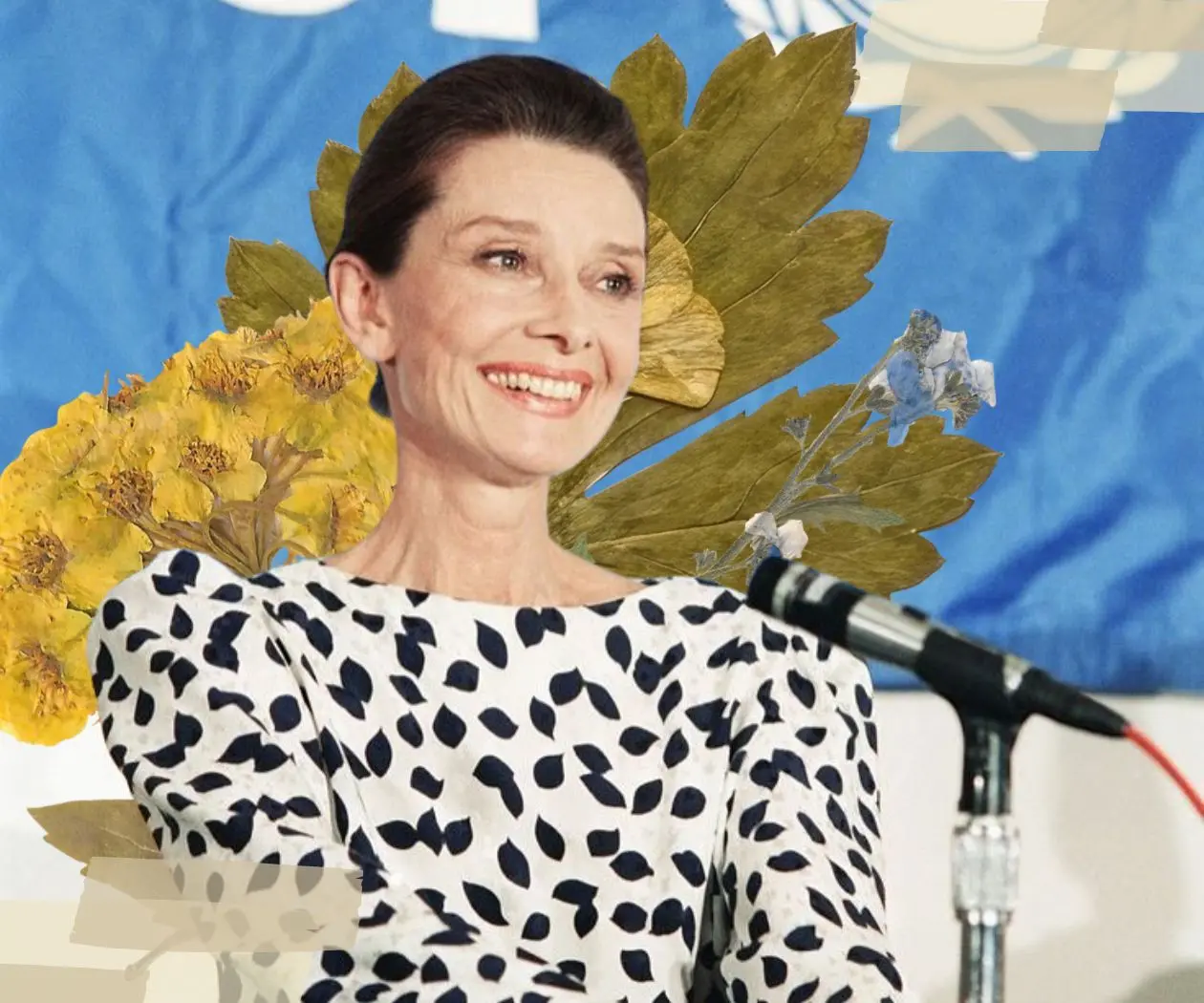 Detrás de Breakfast at Tiffanys: la vida de Hepburn como activista Detrás de Breakfast at Tiffanys: la vida de Hepburn como activista