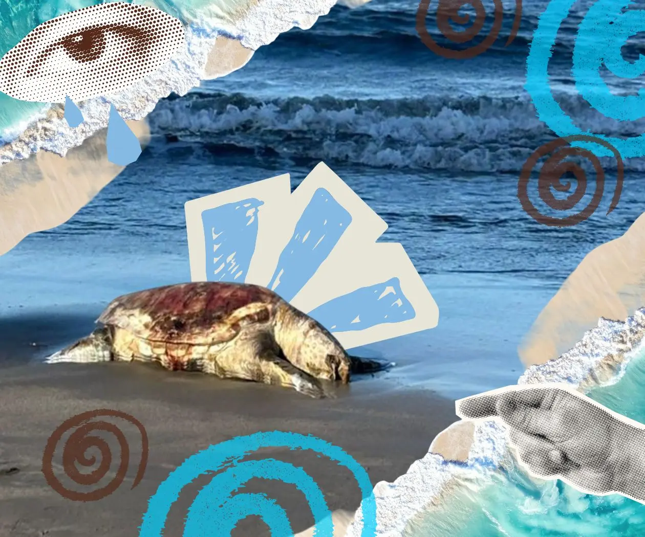 Ecocidio en el Golfo de México: cuando muere el ecosistema, la vida perece