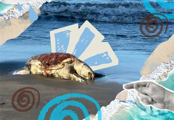 Ecocidio en el Golfo de M&eacute;xico: cuando muere el ecosistema, la vida perece