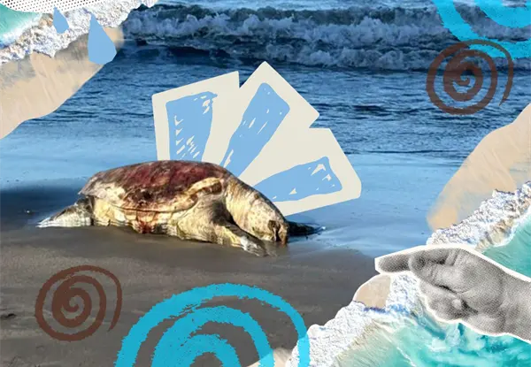 Ecocidio en el Golfo de M&eacute;xico: cuando muere el ecosistema, la vida perece