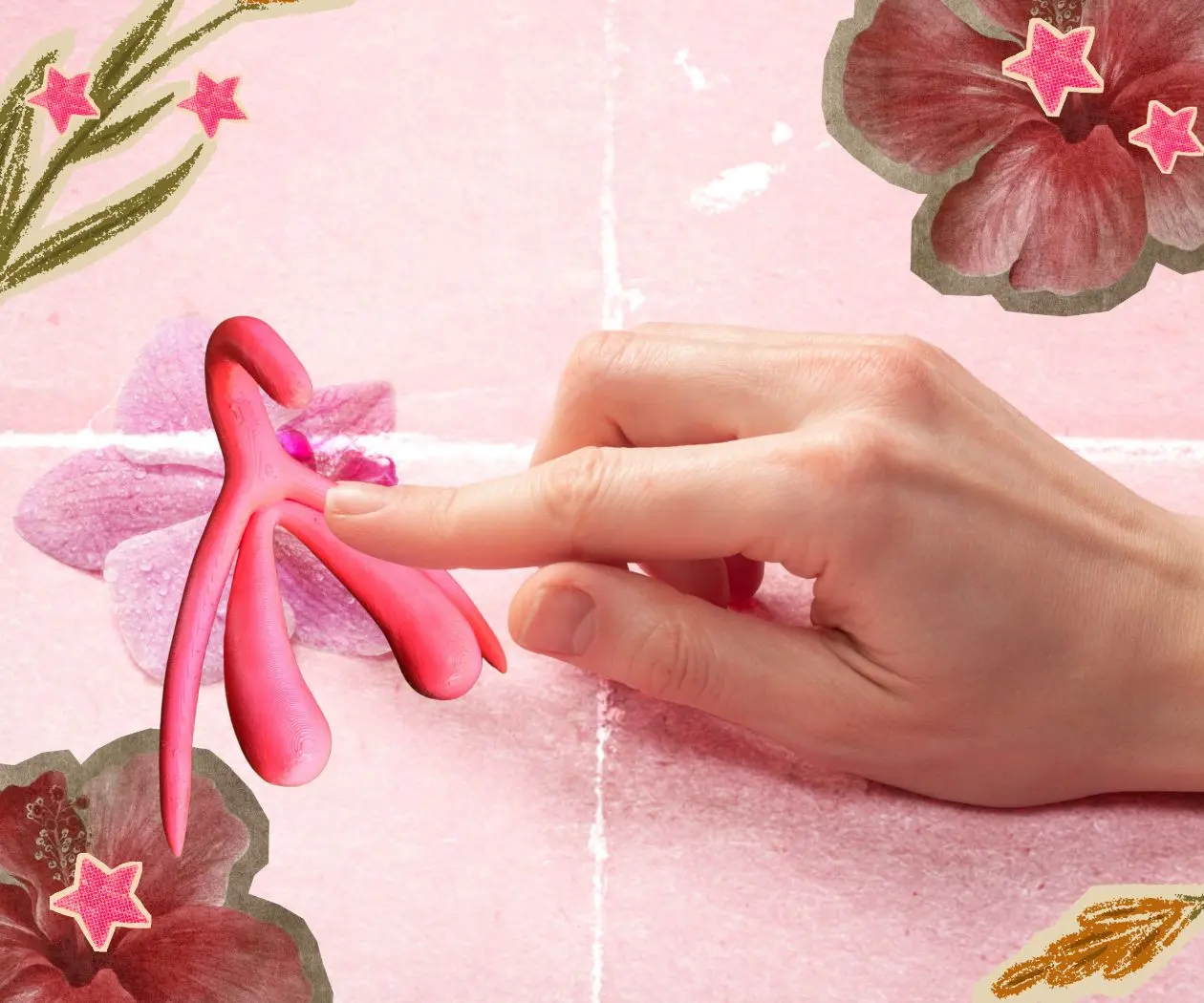 Mapear y nombrar al clítoris para combatir al patriarcado